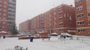 Стрижи микрорайон 5.jpg