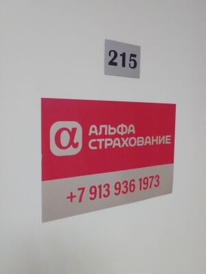 Фрунзе 5 офис 215 (Альфастрахование).jpg