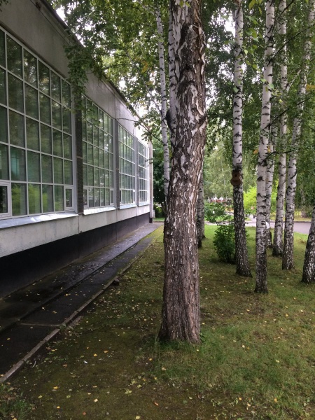 Файл:Школа №108.jpg