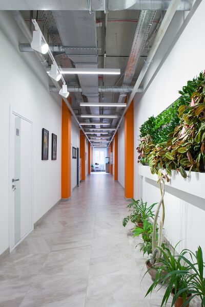 Файл:Николаева 11-5 2 этаж.jpg