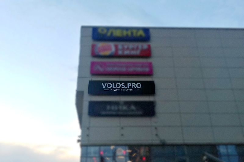 Файл:VOLOS.PRO (Сибирский неон).jpg