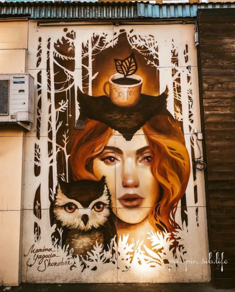 Файл:Девушка с совой.jpg