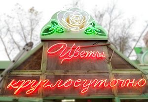 Белая Роза 2 (Сибирский неон).jpg