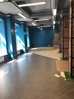 Владимировская 4 (торговые площади).jpg