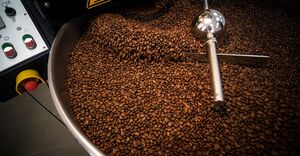 Бодрый День 29.jpg