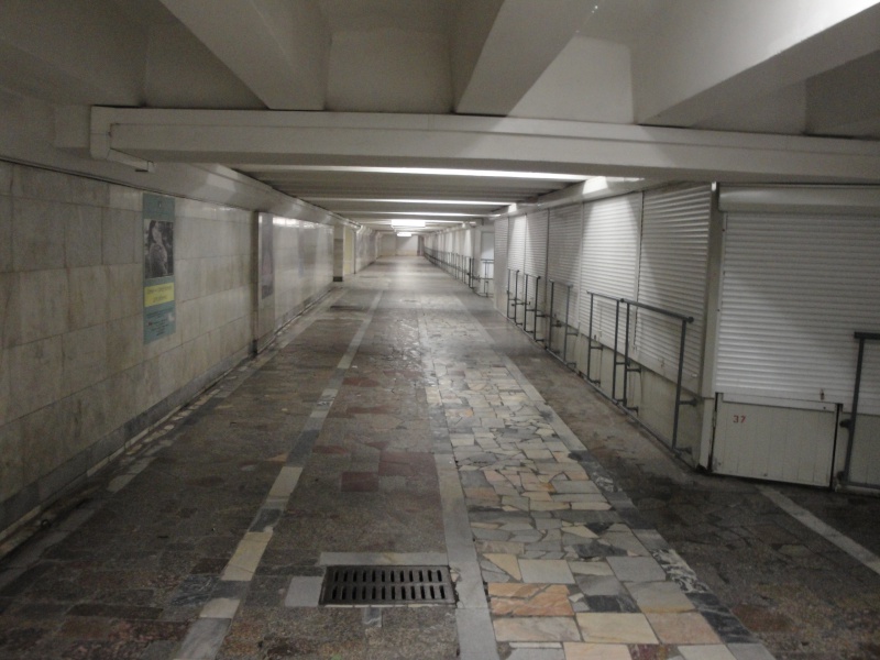 Файл:Студенческая (подземный переход).jpg