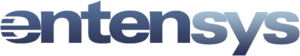 Энтенсис.png