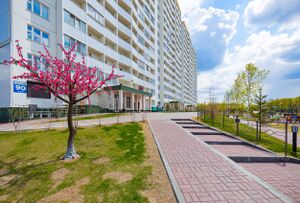 Забалуева 90 (лето).jpg