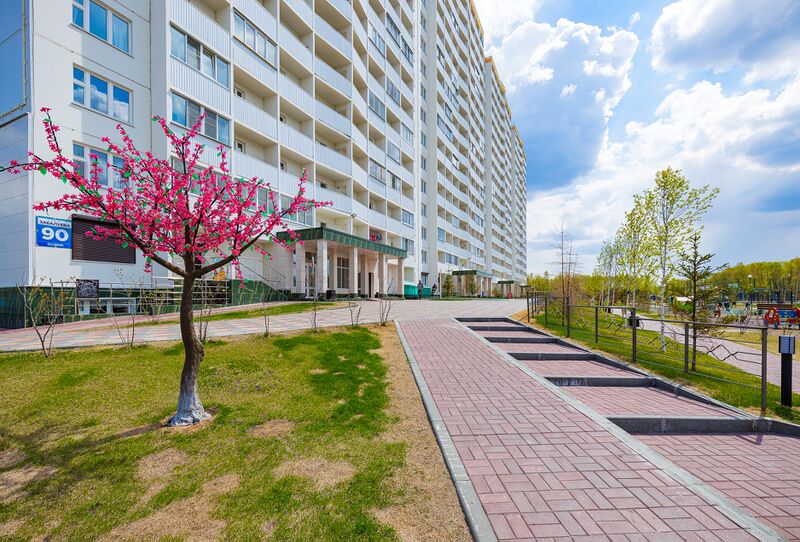 Файл:Забалуева 90 (лето).jpg