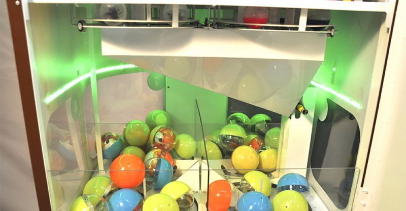 Файл:Мангустин 7.jpg